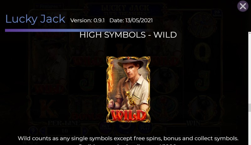 Wild Symbol