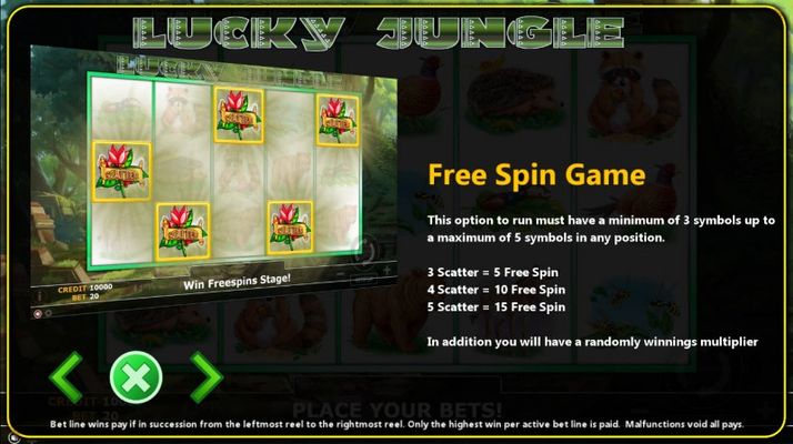 Free Spins Rules