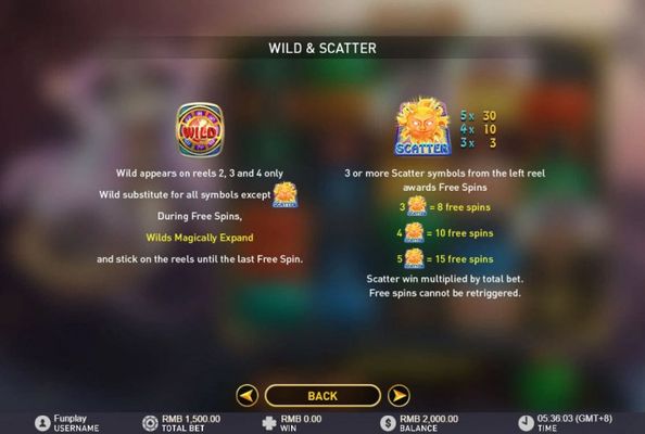 Wild and Scatter Rules