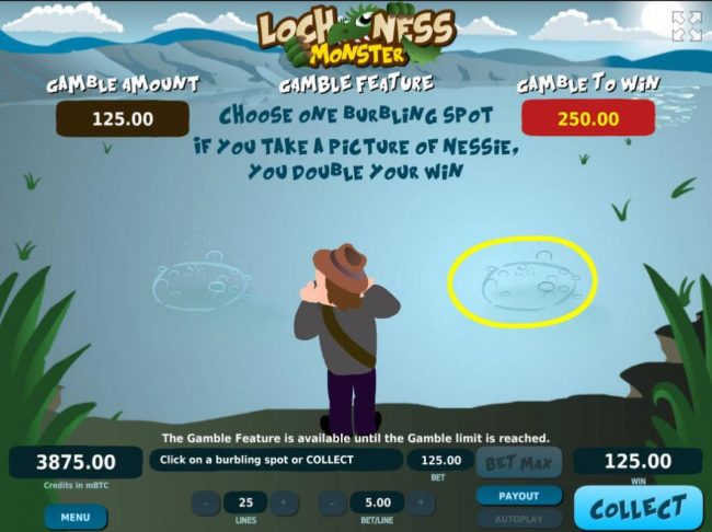 Gamble Feature - To gamble any win press Gamble then choose one burbling spot if you take a picture of Nessie, you double your win..