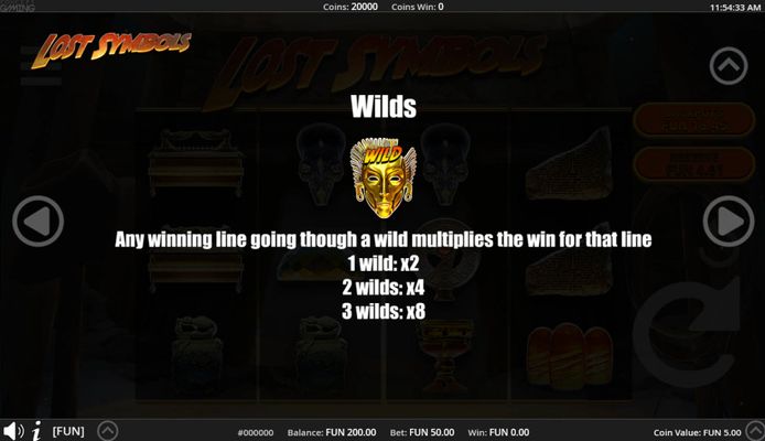 Wild Symbol