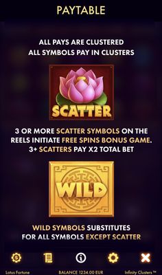 Wild and Scatter Rules