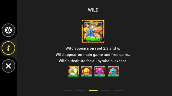 Wild Symbol Rules