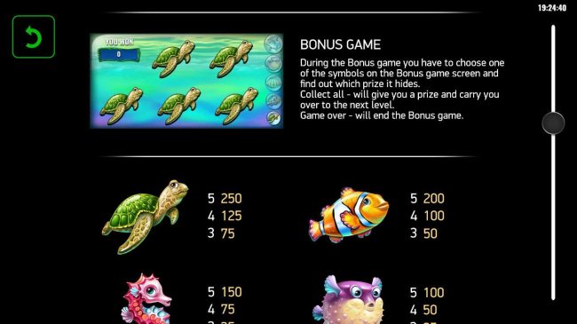 Bonus Game Rules