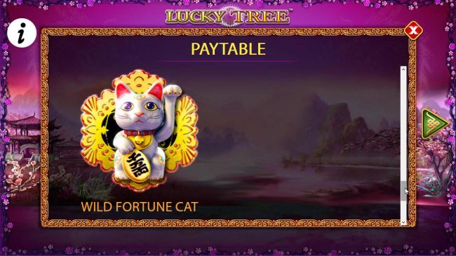 Wild Fortune Cat Symbol