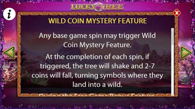 Wild Coin Mystery Feature Rules