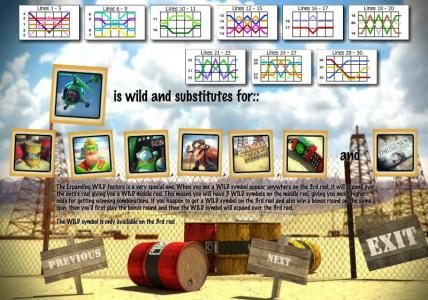 payline diagrams and wild symbol rules