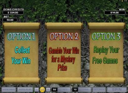 you have three options to choose from after the free spins feature has completed