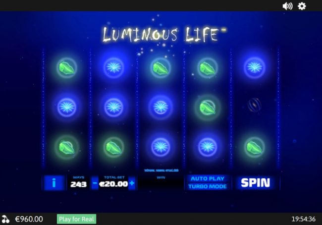 Multiple winning paylines