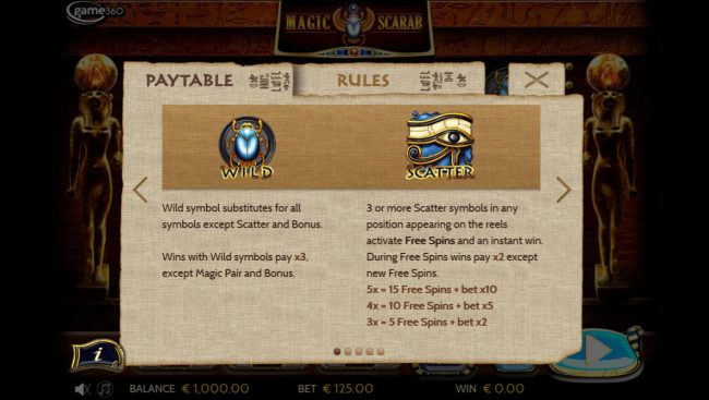 Wild and Scatter Symbols Rules and Pays
