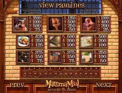 slot game symbols paytable and payline diagrams