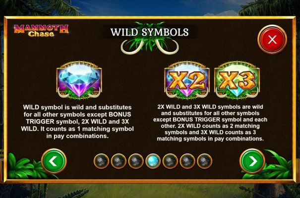 Wild Symbol Rules