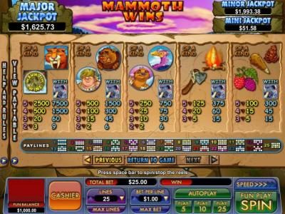 slot game symbols paytable and payline diagrams