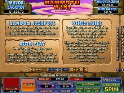 random jackpots rules and general game rules