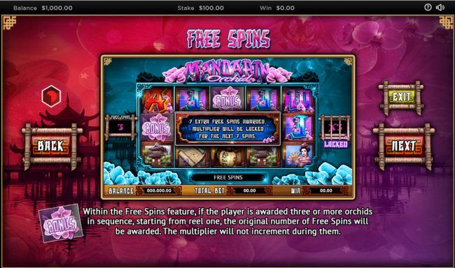 Free Spins Rules