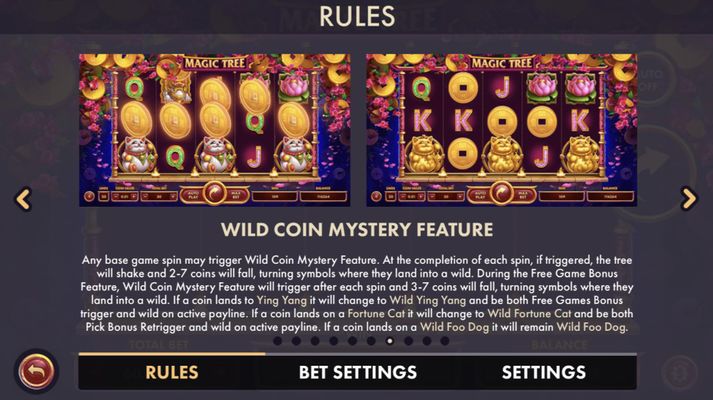 Wild Coin Mystery Feature