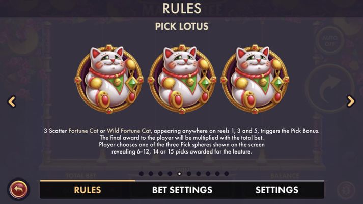 Pick Bonus Feature