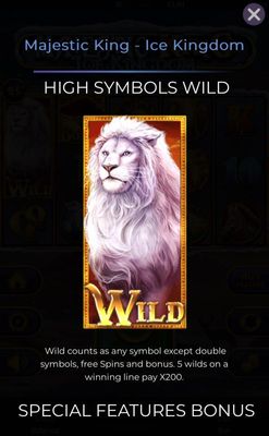 Wild Symbol