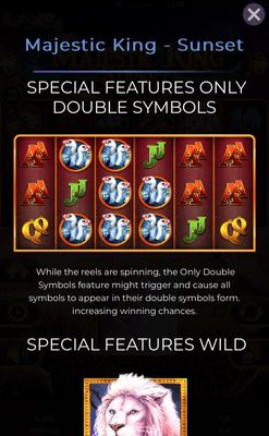 Double Symbols