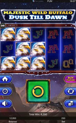 Multiple winning paylines