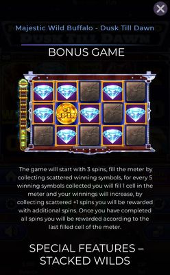 Bonus Feature