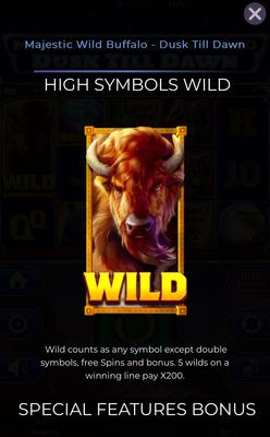 Wild Symbol