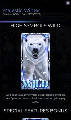 Wild Symbol