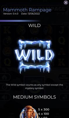 Wild Symbol