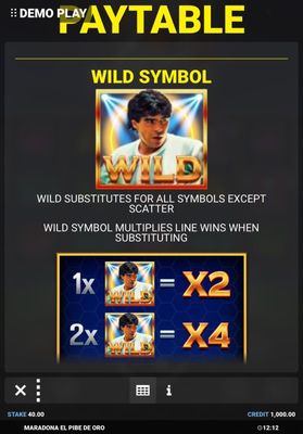 Wild Symbol