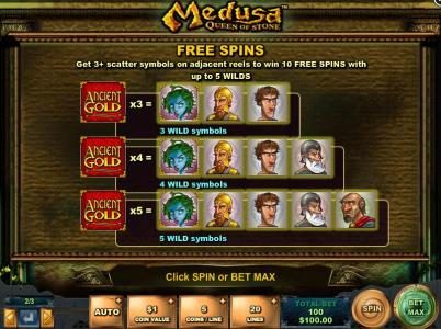 Free Spins - get 3+ scatter symbols on adjacent reels to win free spins with up to 5 wilds.