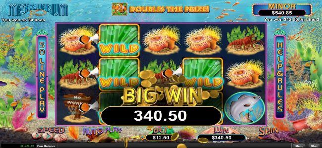 Multiple winning paylines triggers a 340.50 big win!