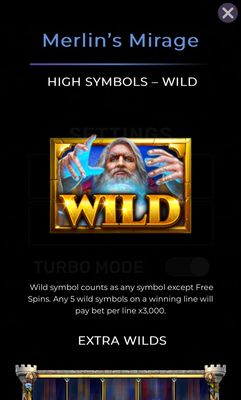 Wild Symbol