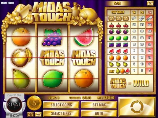 Wild symbols triggers a winning 3 of a kind and a big win