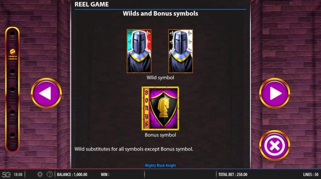 Wild and Bonus Symbols