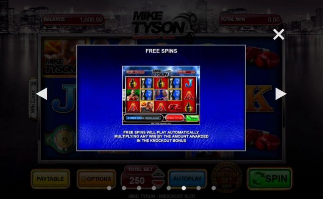 Free Spins Rules