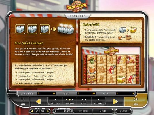 Free Spins Feature Rules