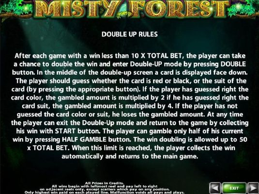 Double Up Gamble Feature Rules