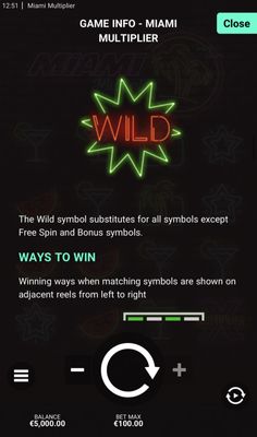 Wild Symbol