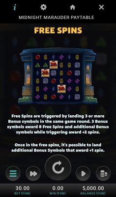 Free Spin Feature Rules