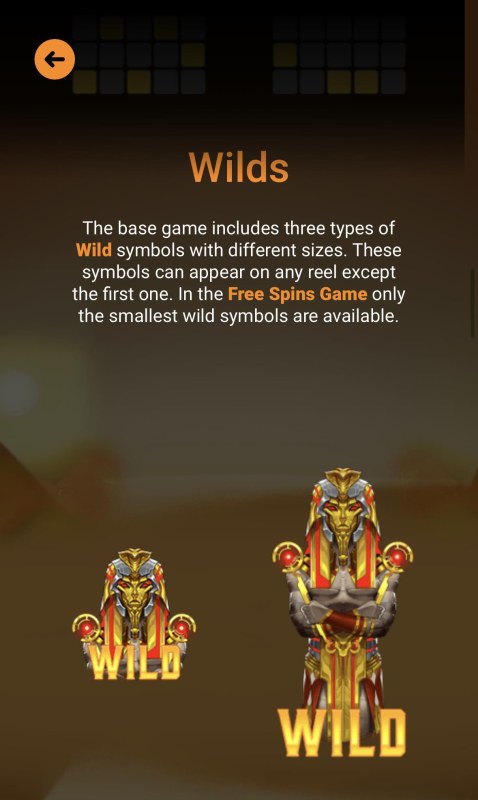 Wild Symbol