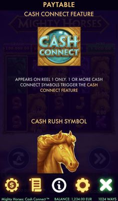 Cash Connect