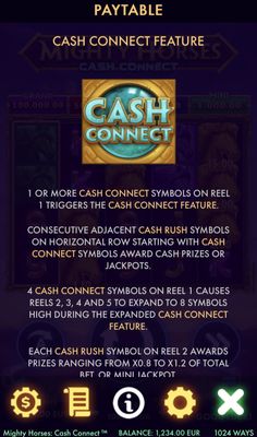 Cash Connect Feature