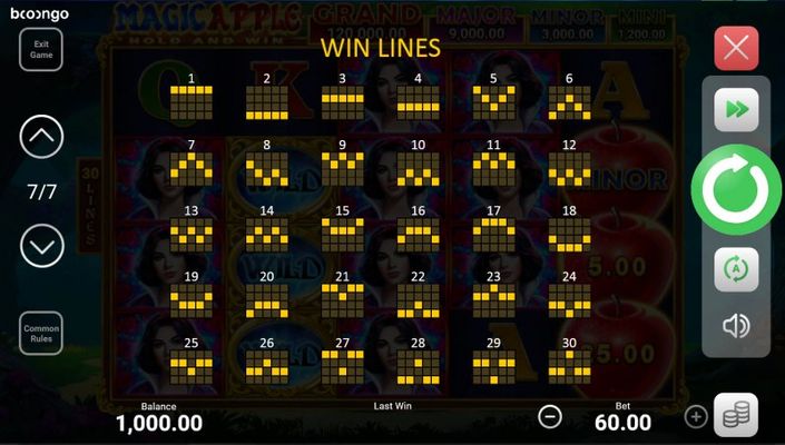 Paylines 1-30