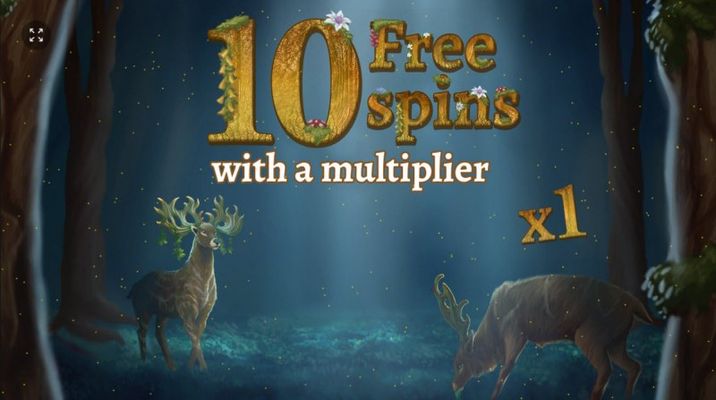 10 Free Spins Awarded