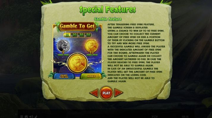 Gamble Feature Rules