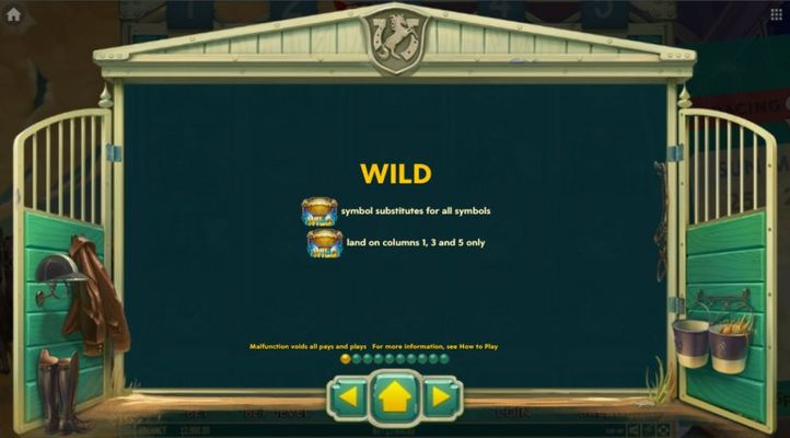 Wild Symbol Rules