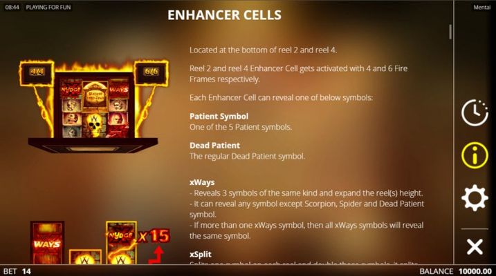 Enhancer Cells