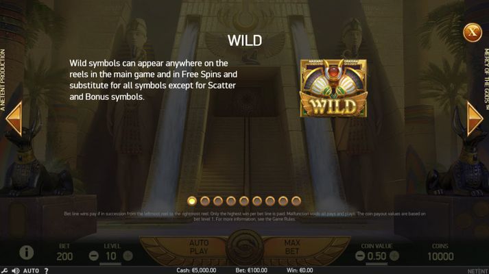 Wild Symbols Rules