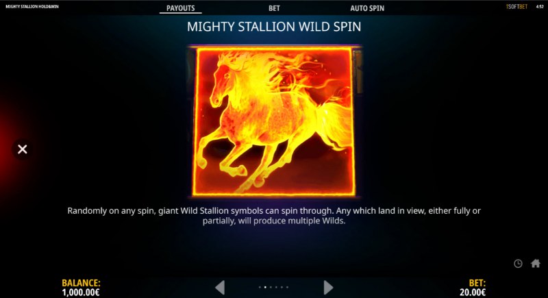 Wild Spin