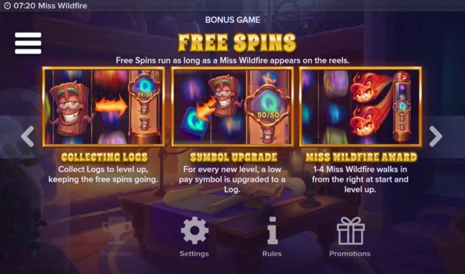 Free Spin Feature Rules